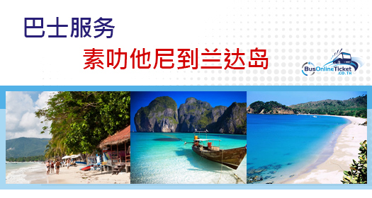 素叻他尼到兰达岛的巴士服务