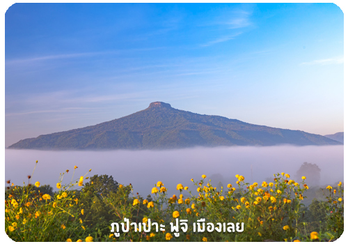 ภูป่าเปาะ ฟูจิ เมืองเลย ภูป่าเปาะ ฟูจิ เมืองเลย
