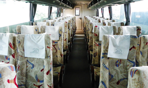 Greenbus Inner View Greenbus Inner View