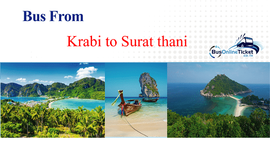 Bus from Krabi to Surat Thani